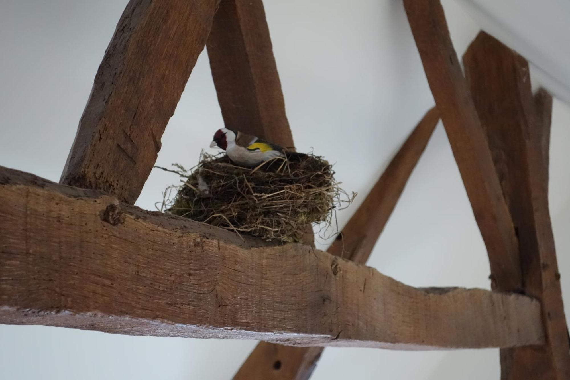 Ferienhaus Le Nourhoet Havre De Paix A L'oree De Broceliande